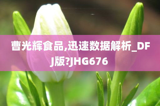 曹光辉食品,迅速数据解析_DFJ版?JHG676