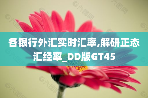 各银行外汇实时汇率,解研正态汇经率_DD版GT45