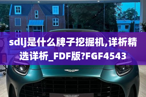 sdlj是什么牌子挖掘机,详析精选详析_FDF版?FGF4543