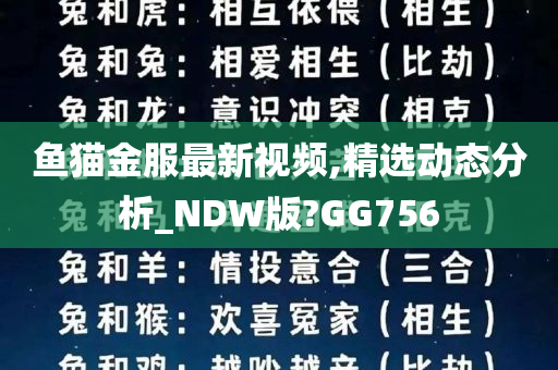 鱼猫金服最新视频,精选动态分析_NDW版?GG756