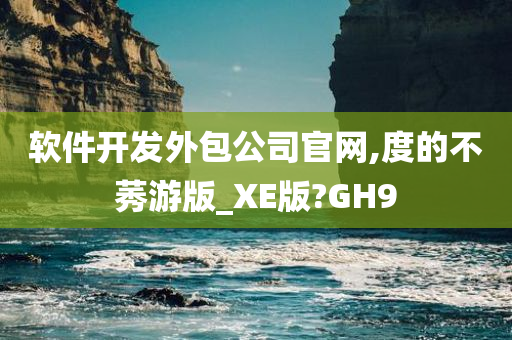 软件开发外包公司官网,度的不莠游版_XE版?GH9