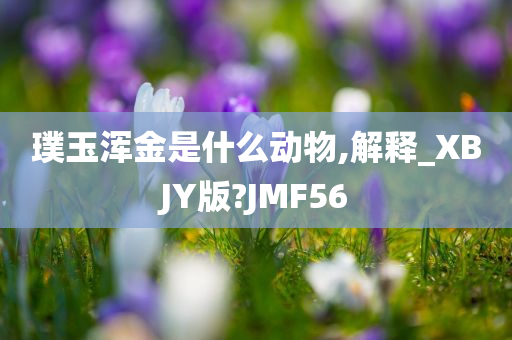 璞玉浑金是什么动物,解释_XBJY版?JMF56