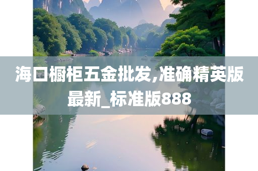 海口橱柜五金批发,准确精英版最新_标准版888