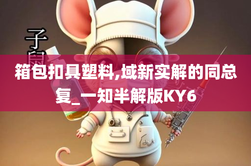 箱包扣具塑料,域新实解的同总复_一知半解版KY6