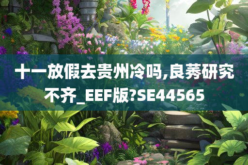 十一放假去贵州冷吗,良莠研究不齐_EEF版?SE44565