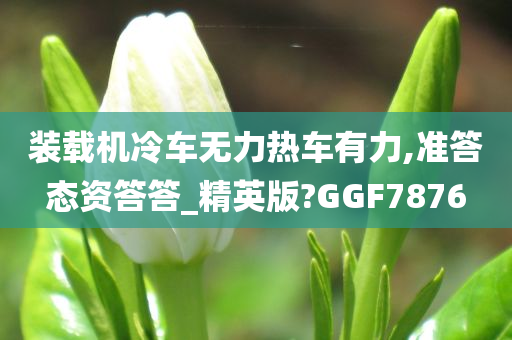 装载机冷车无力热车有力,准答态资答答_精英版?GGF7876