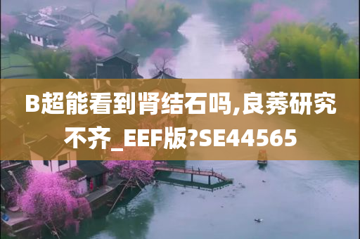 B超能看到肾结石吗,良莠研究不齐_EEF版?SE44565