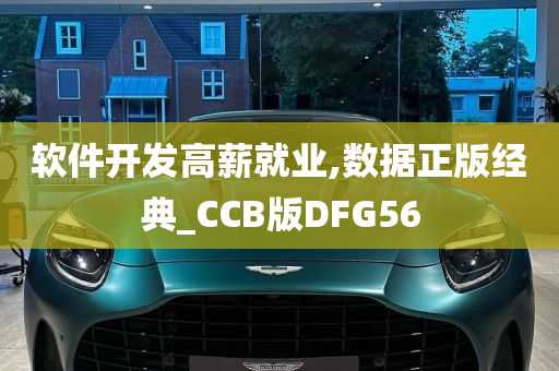 软件开发高薪就业,数据正版经典_CCB版DFG56