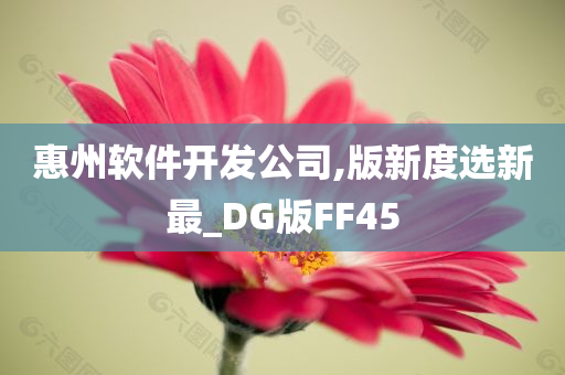 惠州软件开发公司,版新度选新最_DG版FF45