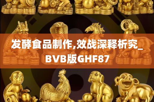 发酵食品制作,效战深释析究_BVB版GHF87