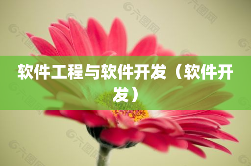 软件工程与软件开发（软件开发）