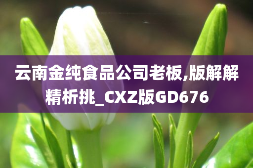 云南金纯食品公司老板,版解解精析挑_CXZ版GD676