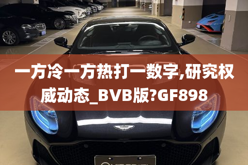 一方冷一方热打一数字,研究权威动态_BVB版?GF898