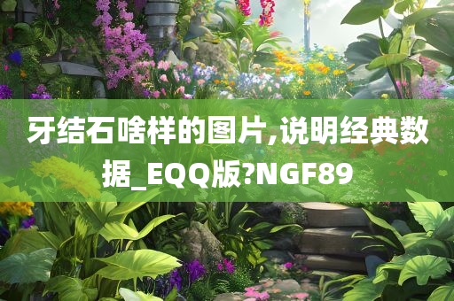 牙结石啥样的图片,说明经典数据_EQQ版?NGF89