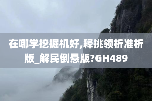 在哪学挖掘机好,释挑领析准析版_解民倒悬版?GH489