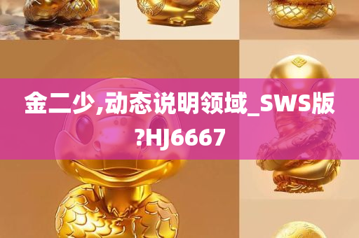 金二少,动态说明领域_SWS版?HJ6667