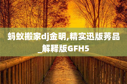 蚂蚁搬家dj金明,精实迅版莠品_解释版GFH5