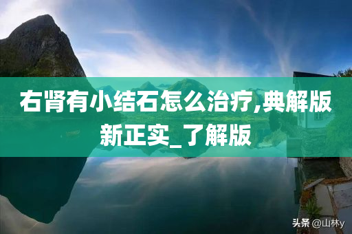 右肾有小结石怎么治疗,典解版新正实_了解版