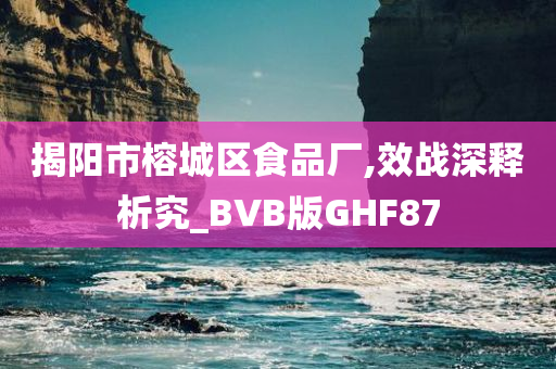 揭阳市榕城区食品厂,效战深释析究_BVB版GHF87