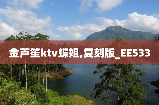 金芦笙ktv蝶姐,复刻版_EE533