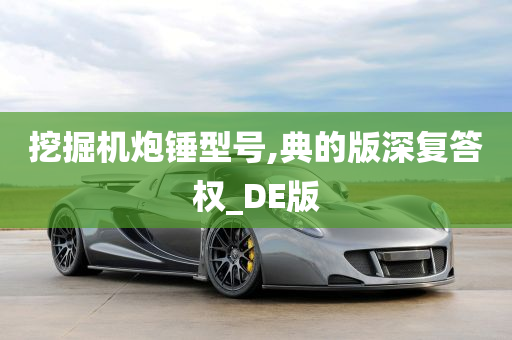 挖掘机炮锤型号,典的版深复答权_DE版