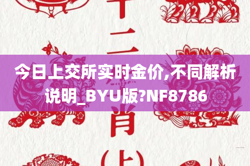 今日上交所实时金价,不同解析说明_BYU版?NF8786