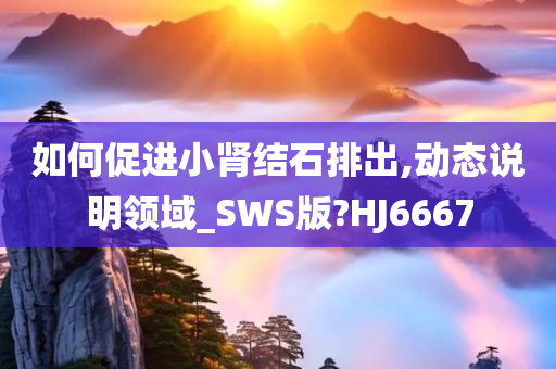 如何促进小肾结石排出,动态说明领域_SWS版?HJ6667