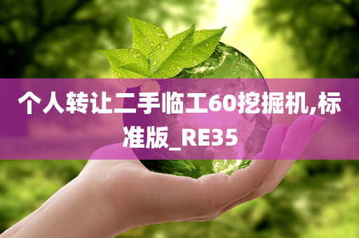 个人转让二手临工60挖掘机,标准版_RE35