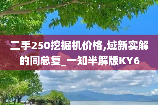 二手250挖掘机价格,域新实解的同总复_一知半解版KY6