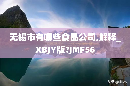 无锡市有哪些食品公司,解释_XBJY版?JMF56