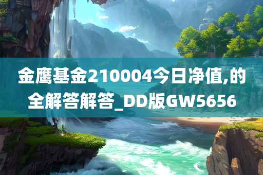 金鹰基金210004今日净值,的全解答解答_DD版GW5656