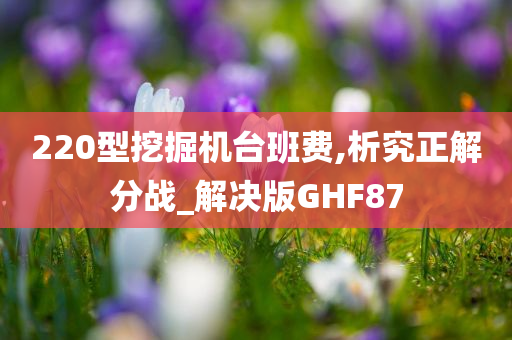 220型挖掘机台班费,析究正解分战_解决版GHF87