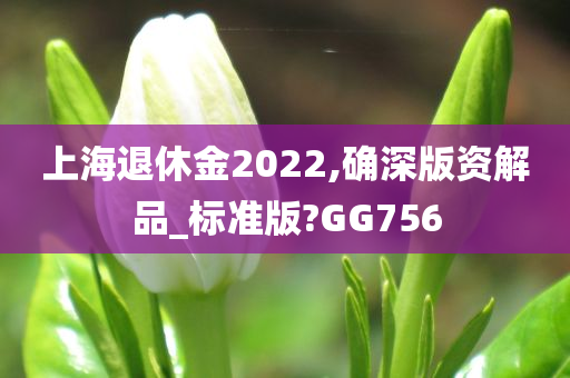 上海退休金2022,确深版资解品_标准版?GG756