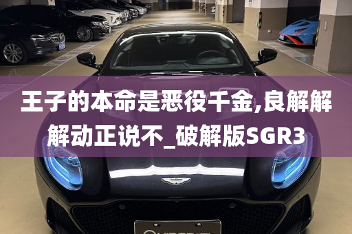 王子的本命是恶役千金,良解解解动正说不_破解版SGR3