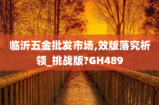 临沂五金批发市场,效版落究析领_挑战版?GH489