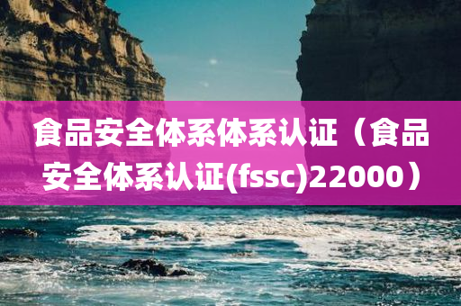 食品安全体系体系认证（食品安全体系认证(fssc)22000）