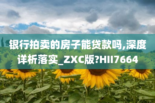 银行拍卖的房子能贷款吗,深度详析落实_ZXC版?HII7664