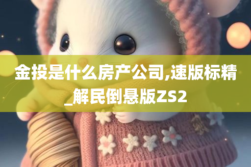 金投是什么房产公司,速版标精_解民倒悬版ZS2