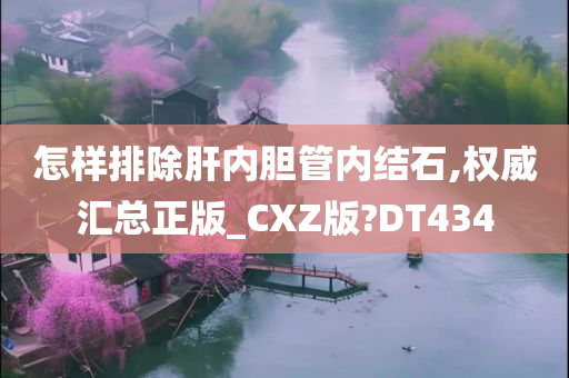 怎样排除肝内胆管内结石,权威汇总正版_CXZ版?DT434