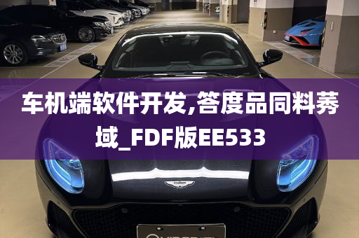 车机端软件开发,答度品同料莠域_FDF版EE533