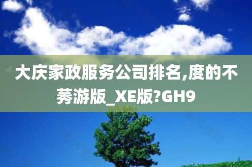 大庆家政服务公司排名,度的不莠游版_XE版?GH9