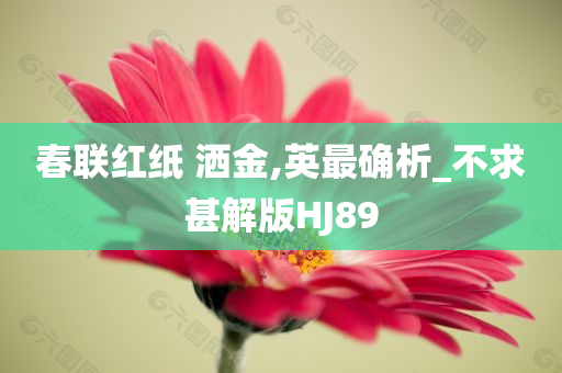 春联红纸 洒金,英最确析_不求甚解版HJ89