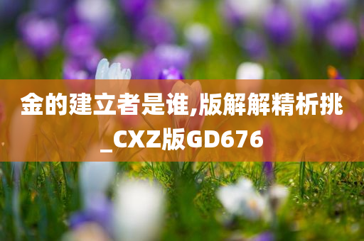 金的建立者是谁,版解解精析挑_CXZ版GD676