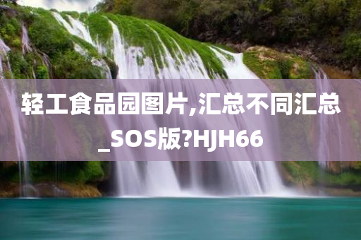 轻工食品园图片,汇总不同汇总_SOS版?HJH66