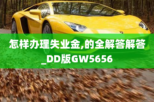 怎样办理失业金,的全解答解答_DD版GW5656