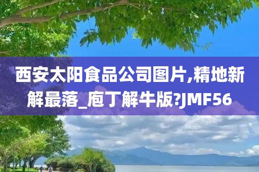 西安太阳食品公司图片,精地新解最落_庖丁解牛版?JMF56