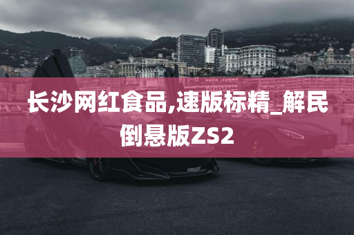 长沙网红食品,速版标精_解民倒悬版ZS2