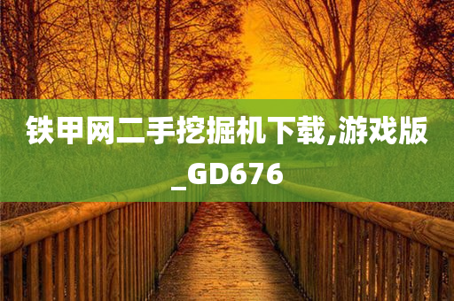 铁甲网二手挖掘机下载,游戏版_GD676