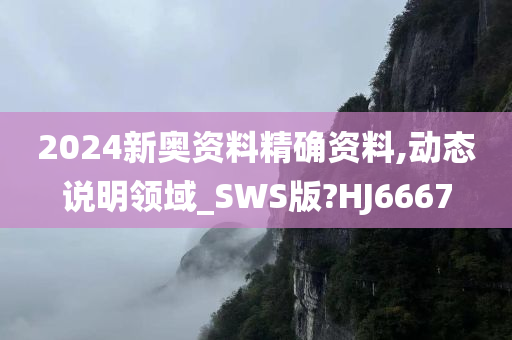 2024新奥资料精确资料,动态说明领域_SWS版?HJ6667