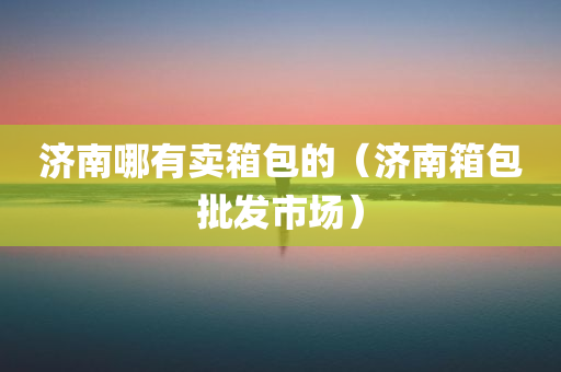 济南哪有卖箱包的（济南箱包批发市场）